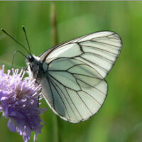 Villach © Werner Kanatschnig